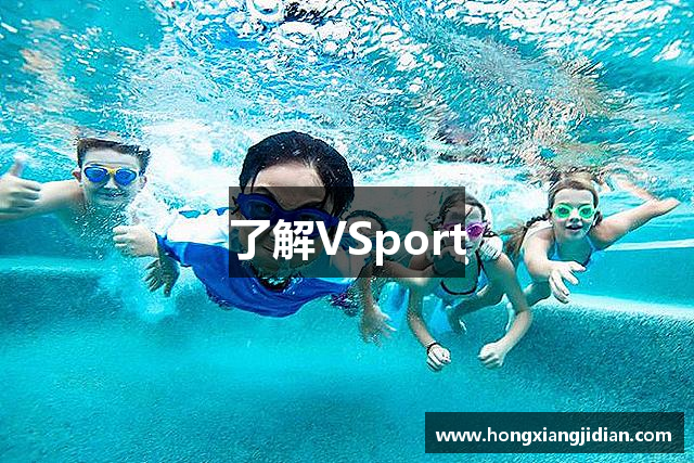 了解VSport